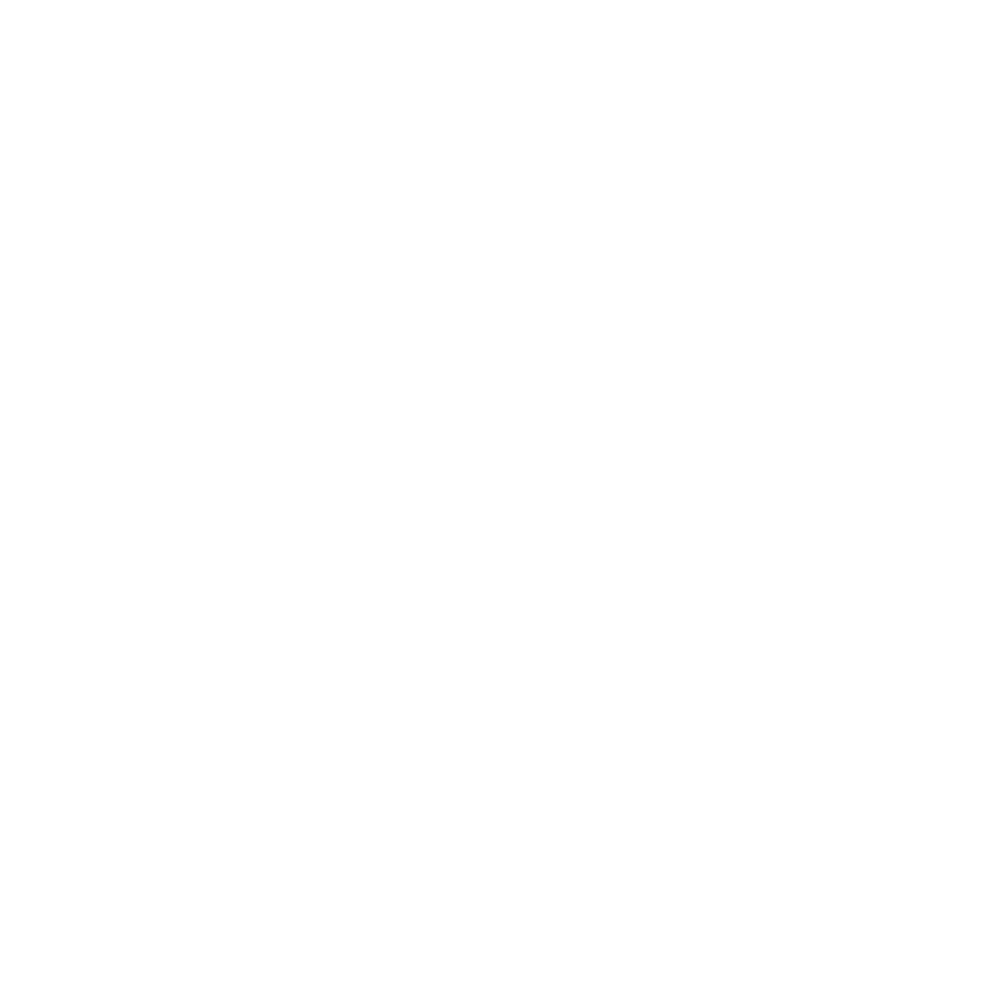 Logo da Magnix Branca